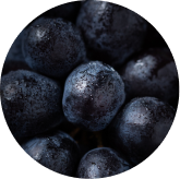 Grape Seed Extract, Rutin, Quercetin
